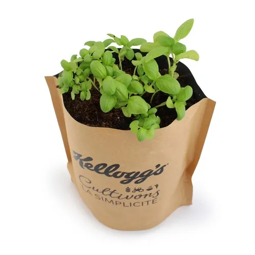 Pop-up Publicitaire Grand Format avec Graines à Planter