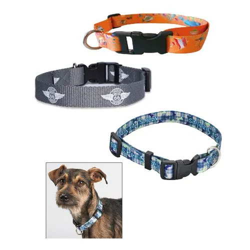 Accesoires pour animaux de compagnie
