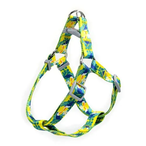 Accesoires pour animaux de compagnie