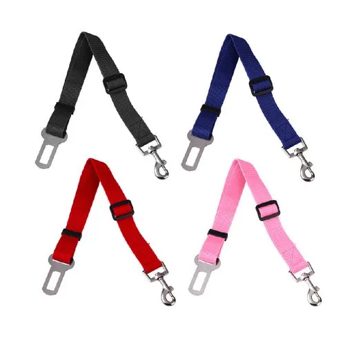 Accesoires pour animaux de compagnie