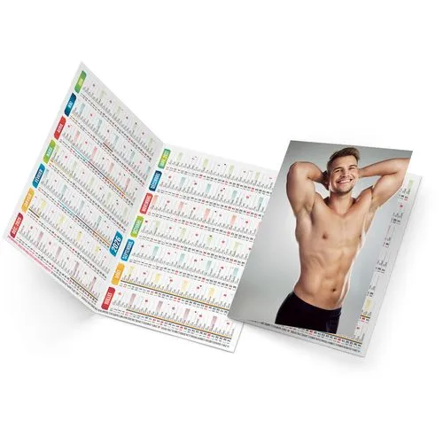 ADAM 2026 - NEUTRE 1 POSE