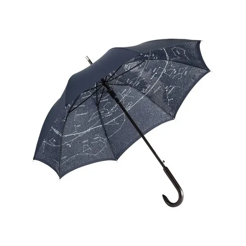 Parapluie woodshaft regular AC