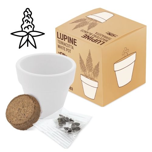Pot Bio avec Graines de Cosmos - Cadeau d'Entreprise Écologique