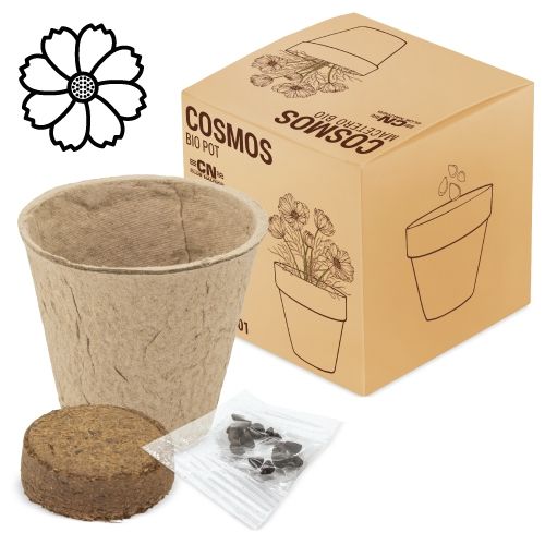 Pot Bio avec Graines de Cosmos - Cadeau d'Entreprise Écologique