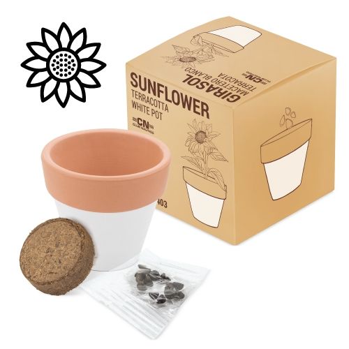 Pot Bio avec Graines de Cosmos - Cadeau d'Entreprise Écologique