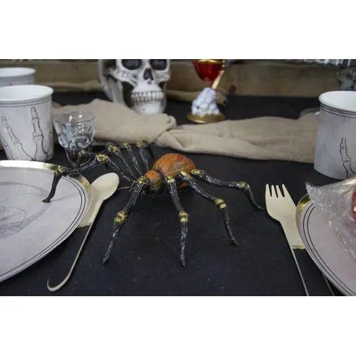 ARAIGNEE MORTELLE 21CM