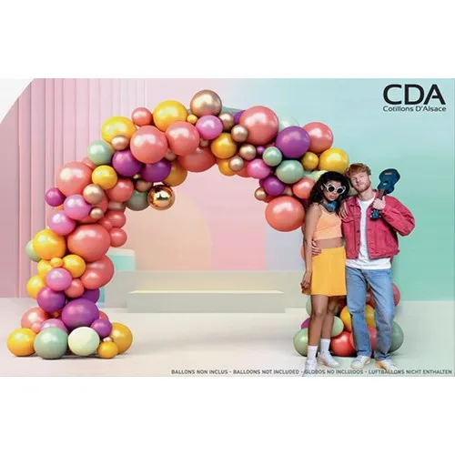 Arche à ballons avec bases lest à eau 274*300 cm