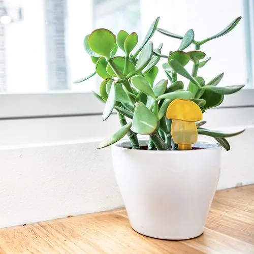 ARROSEUR AUTONOME ECOLOGIQUE