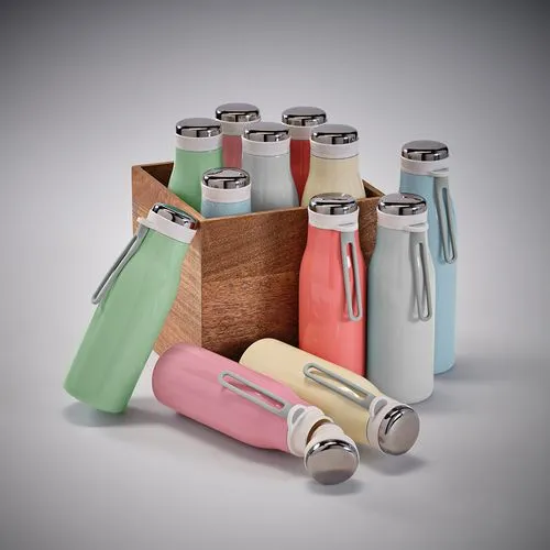 Gourde Arkansas 500 rInox 495ml.Double paroi, étanche,poignée