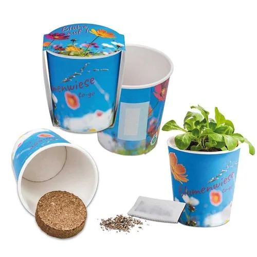 Prairie Fleurie Personnalisable - Cadeau d'Entreprise Écologique