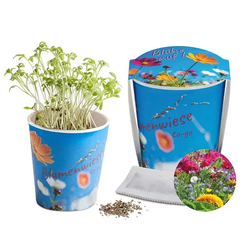 Prairie Fleurie Personnalisable - Cadeau d'Entreprise Écologique