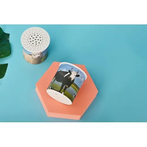 Boîte Sonore Personnalisable à Détecteur de Mouvement – 30 secondes