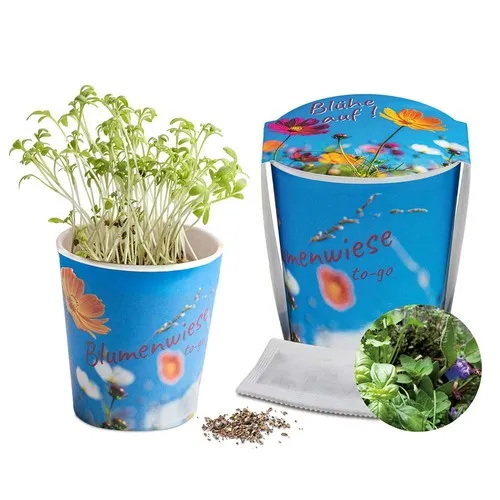 Pot de Prairie Fleurie Personnalisable - Cadeau Écologique d'Entreprise