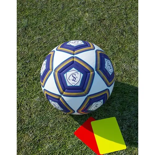 Ballon Foot PREMIUM