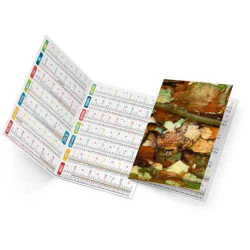 TRISTAN 2026 - NEUTRE 1 POSE