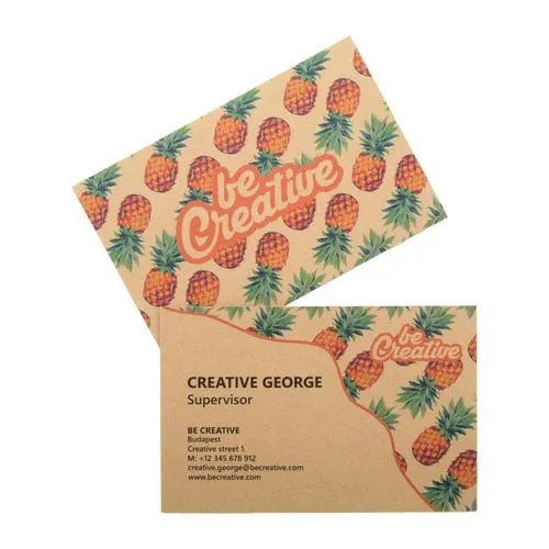 cartes de visite Visicard Eco