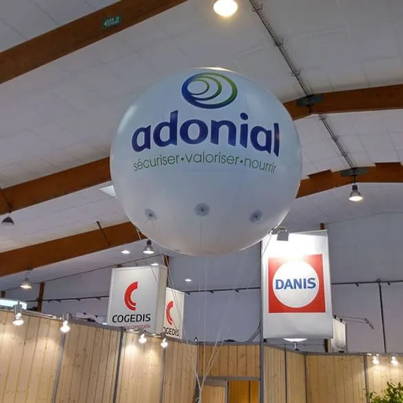 Ballon Gonflable Géant sur Mât - Alternative Hélium