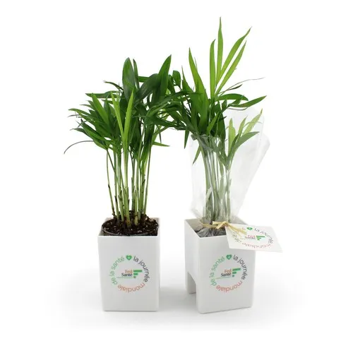 Pot à crayons publicitaire avec plante personnalisable