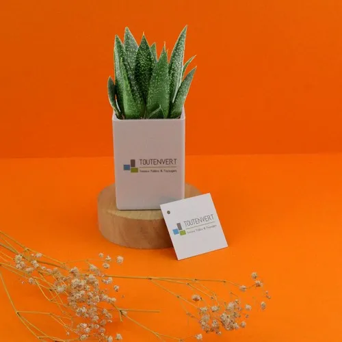 Pot à crayons publicitaire avec plante personnalisable