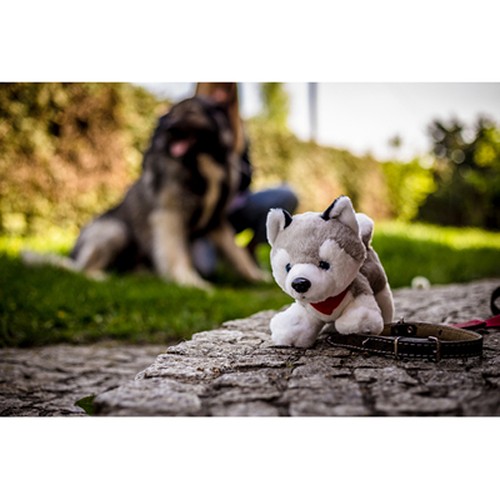 Peluche Husky Personnalisable avec Foulard - 20 cm