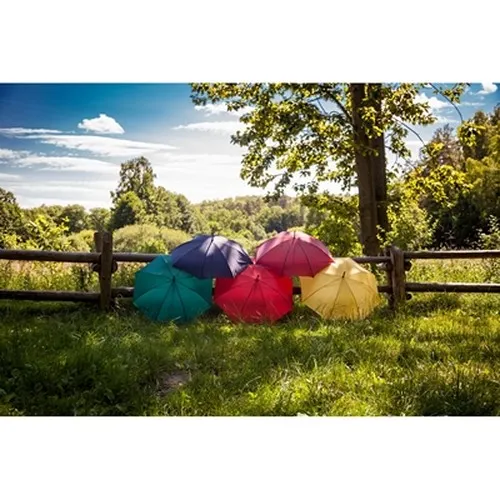 Parapluie automatique | Hayden