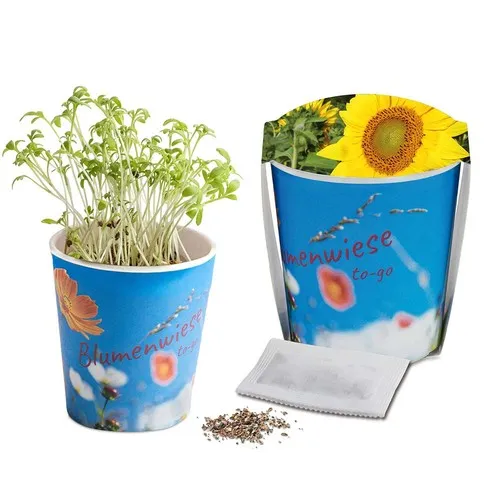 Prairie Fleurie Personnalisée en Pot Carton - Graines Tournesol