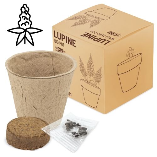 Pot de Graines Bio Pétunia Personnalisable - Cadeau Écologique