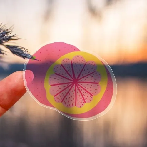 Sticker transparent 100 à 200cm2