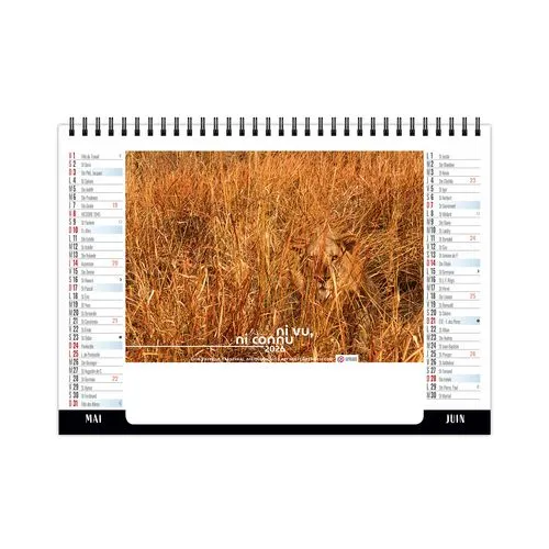 CHEVALET STANDARD 7F - CAMOUFLAGE 2026 - QUADRI