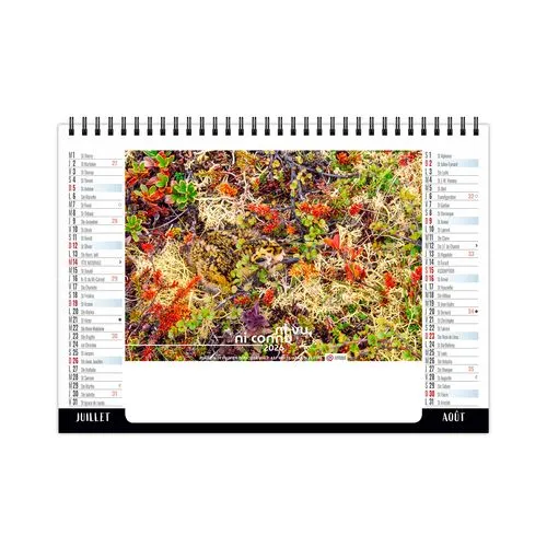 CHEVALET STANDARD 7F - CAMOUFLAGE 2026 - QUADRI