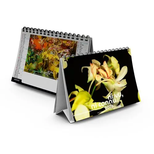 CHEVALET STANDARD 7F - CAMOUFLAGE 2026 - QUADRI