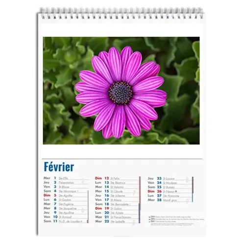 Calendrier Mural Personnalisé Wire'o - Formats A5, A4, A3