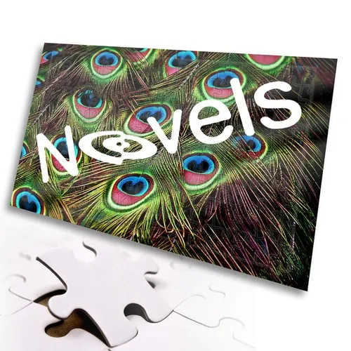 Puzzle 54 pièces avec boîte