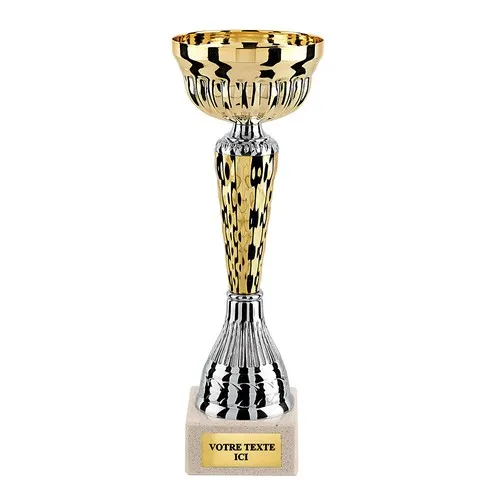 Coupe de Prestige Or et Argent sur Socle Marbre - 3 Tailles