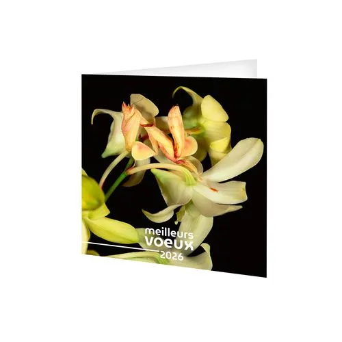 CARTE DE VOEUX - INVISIBLE 2026  AVEC ENVELOPPE - SANS MARQUAGE