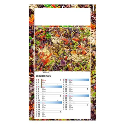 PLAQUE 1 VUE JULIETTA 2026 - DOS CARTON - EURO BLOC - SANS MARQUAGE