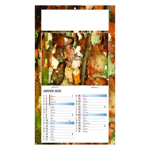 PLAQUE 1 VUE JULIETTA 2026 - DOS CARTON - EURO BLOC - SANS MARQUAGE