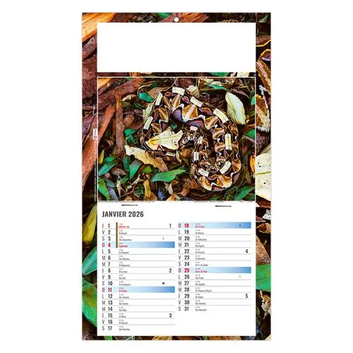 PLAQUE 1 VUE JULIETTA 2026 - DOS CARTON - EURO BLOC - SANS MARQUAGE