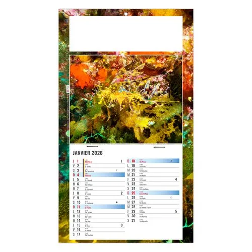 PLAQUE 1 VUE JULIETTA 2026 - DOS CARTON - EURO BLOC - SANS MARQUAGE