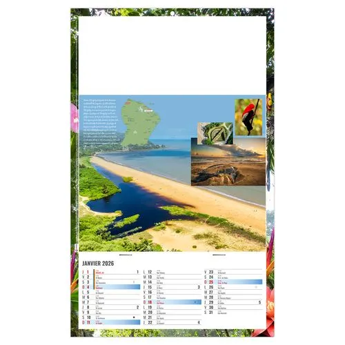 PLAQUE 1 VUE NOE 2026 - DOS CARTON ET BLOC B1 - SANS MARQUAGE