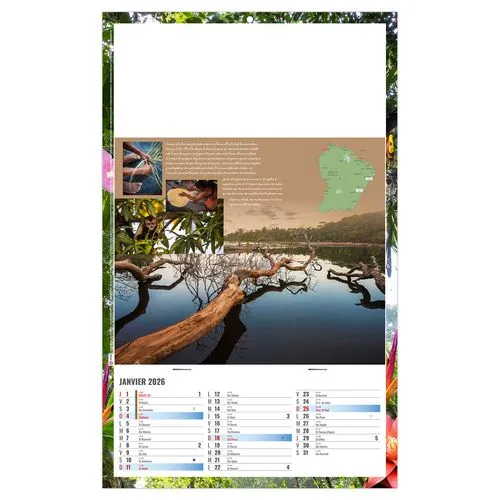 PLAQUE 1 VUE NOE 2026 - DOS CARTON ET BLOC B1 - SANS MARQUAGE