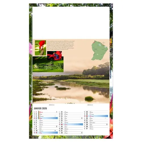 PLAQUE 1 VUE NOE 2026 - DOS CARTON ET BLOC B1 - SANS MARQUAGE