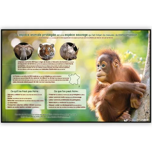 Calendrier Bancaire Espèces Protégées 2026 Personnalisable