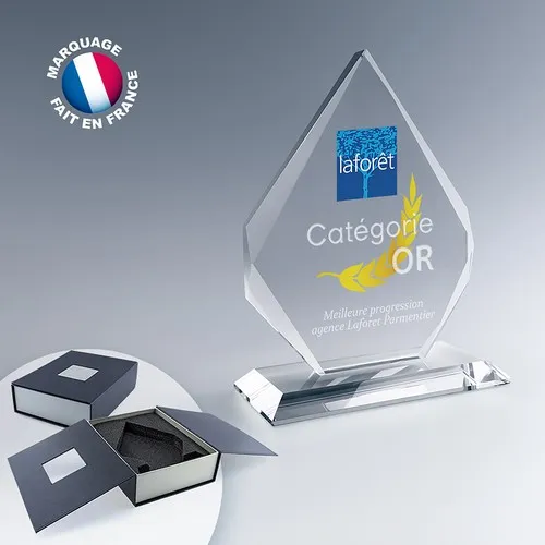 Trophée Iceberg en Verre avec Socle - Personnalisation Laser