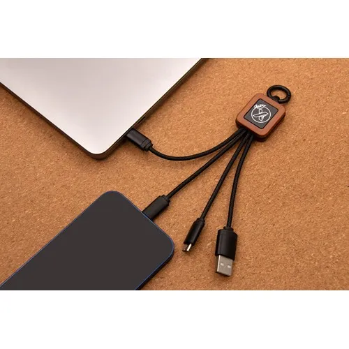 câble éco court 20W