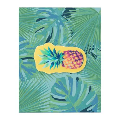 Cache webcam ShapeCam