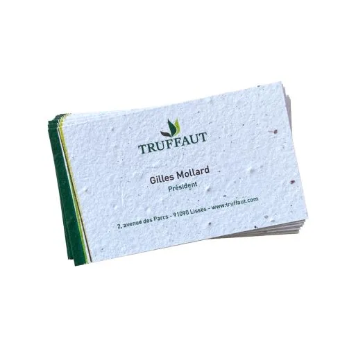 CARTES DE VISITE RECTO VERSO 270G