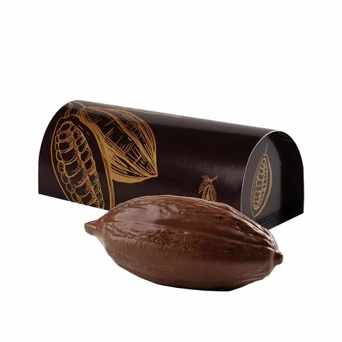 Chocolat Cabosse Personnalisé 120g - Cadeau d'Affaires Premium