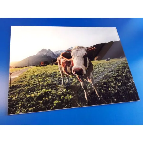 Affiche Plexiglas 200x300mm Personnalisée - Sérigraphie Haute Qualité