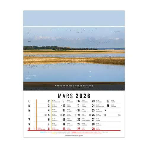 CELINE 2026 - 12 FEUILLETS - BLOC SEUL SANS MARQUAGE